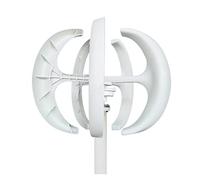 Turbina Eolica, Home Generatore eolico ad asse verticale 3000W 3KW 12V 24V 48V con controller MPPT Piccolo mulino a vento a basso rumore for lampioni(White with Control,24V)