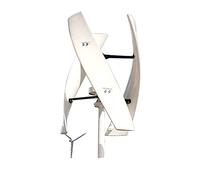 Turbina eolica mulino a vento di energia del generatore eolico a magnete permanente di asse verticale 400W 12v 24v con il regolatore di MPPT for uso domestico della fabbrica(Wind turbine only)