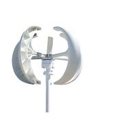 Turbina Eolica, Neratore eolico ad asse verticale 8000W 12V 24V 48V Motore del mulino a Avvio rapido Lampione stradale ibrido for fattoria domestica(White,48V)