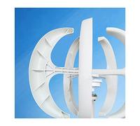 Turbina Eolica, Piccolo generatore eolico ad asse verticale for casa 3000W 12V 24V 48V con MPPT Mulino a vento a basso rumore 3KW for giardino agricolo(White,48V)