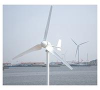 Turbina eolica Verticale Generatore della turbina del vento orizzontale dell'asse da 1000W di approvazione CE for la terra e il marino includono regalo controller(48V)