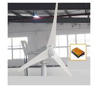 Turbina eolica Verticale Generatore della turbina eolica Vinidrante 60 0W 800W 12V 24V Con 3 lame 5 Mpt pwm. Controller for homeuse(White,24V,800W 5 Blades)