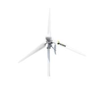 Turbina Eolica Verticale Generatore eolico orizzontale a energia libera da 1000 W. a basso numero di giri. Progetto for uso domestico ad alta efficienza. Barca agricola(96V)