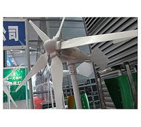 Turbina eolica Verticale La turbina eolica 800W può soddisfare il piccolo consumo energetico del vento della famiglia e complemento solare