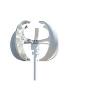 Turbina Eolica Verticale Mini kit verticale 1000w 12v 24v del generatore eolico di energia dei piccoli mulini a for uso domestico(White,24V)