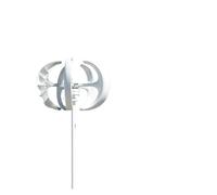 Turbina Eolica Verticale Mulino a ad assi verticali del neratore eolico da 2000 W 12 V 24 48 for lampione domestico residenziale(Rot,24V)