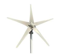 Turbina Eolica Verticale Neratore Eolico Ad Energia Libera 3000w 3/5 Alta Efficienza 12v 24v For La Fornitura Domestica(48V,3000W 5blades)