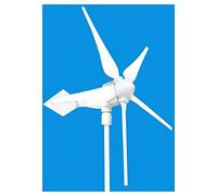 Turbina eolica Verticale Turbina eolica 800 W è adatta for aree for il tempo libero, come barche, padiglioni, capanne o case mobili