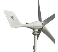 Turbine eoliche, 3000w 5 lame energia eolica ad alta efficienza generatore eolico 12v 24v ad alta efficienza con eolico controller MPPT(Wind turbine only,12V,3kW 5blades)