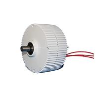 Turbine eoliche, Bassa velocità 300W 500w 600w 12V 24V 48V Generatore a magneti permanenti senza ingranaggi AC Alternatori Turbina eolica fai da te(Without Base,48V,40W)