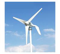 Turbine eoliche, Generatore di turbine eoliche da 1000W con Mppt. Controller a bassa rumorosità bassa velocità del vento Avvio 1 2 V 24V. Generatore di mulini a vento(3,MPPT Controller,12V)