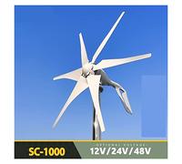 Turbine eoliche, Generatore eolico portatile 600W Energia alternativa Mulini a vento Alternatore 12V 24V 48V Turbina eolica Regolatore MPPT eolico(MPPT Controller,24V)