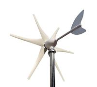 Turbine eoliche, Turbina eolica 2000w 48v 24v 12v con di controllo MPPT Mulini a vento portatili Energia rinnovabile for eolico solare ibrido(MPPT Controller,24V)