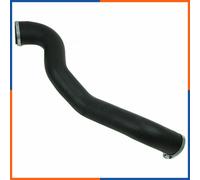 ESEN SKV 43SKV041 Flessibile aria alimentazione per FORD KUGA I