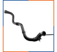 NTY Tubo condotto aria GPP-RE-006, gomma con anima in tessuto per Renault Clio II