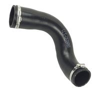 Turbo Tubo Flessibile Per Renault Megane II 2.0 DCI 8200658947 di Aspirazione