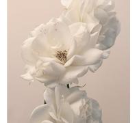 turn the light on: acoustic reimagination v2