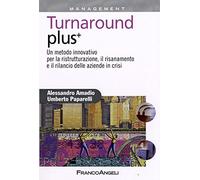 Turnaround plus +. Un metodo innovativo per la ristrutturazione, il risanamento e il rilancio delle aziende in crisi