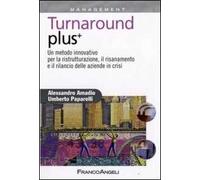Turnaround plus +. Un metodo innovativo per la ristrutturazione, il risanamento e il rilancio delle aziende in crisi