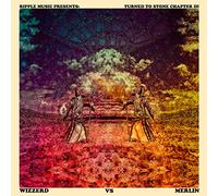 Turned To Stone - Chapter Iii Wizzerd Vs Merlin