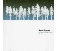 Turner,Steve - A Beautiful Winter