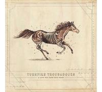 Turnpike Troubadours A Long Way from Your Heart (CD) Album