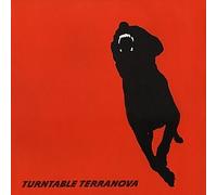 Turntable Terranova - DJ Krust Remix