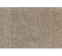 Turtle Mat Tappetino a barriera per interni, con retro multi presa, 75 x 50 cm circa