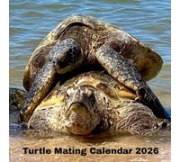 Turtle mating calendar 2026