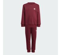 Tuta adicolor Crew Maroon / Clear Pink 5-6A