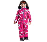 Tuta da sci invernale per bambini Dare2B Snowplay 92