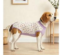 Tuta di recupero post-operatorio per cani femmina, adatta per la cura post-operatoria dei cani, per impedire all'animale di leccarsi la ferita 3XL,L,M,S,XL,XXLFumetto,PianteTessuto