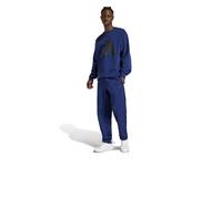 Tuta Intera Completa Full Tracksuit UOMO Adidas Big Logo Crew Blu