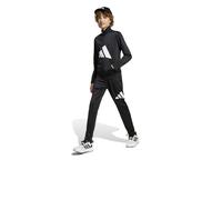 Tuta Intera Completa Tracksuit Ragazzi Bambini Adidas Essentials Big Logo Nero