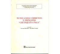 Tutela dell'ambiente e principio "chi inquina paga"