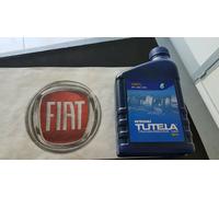 TUTELA TRANSMISSION GI/V cod.14601616