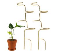Tutor di Suppper Piante 2 Pezzi di Asticelle per il Sostegno degli | da Giardino per Fiori e per Monstera Orchidea Peonia Pothos Giardino e Esterni