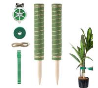 Tutor in schiuma, naturale e riutilizzabile, supporto rampicante, per pothos Philodendron per interni, vaso fioriera, balcone, giardino interno e