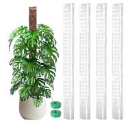 Tutor Monstera - Bastoncini di supporto per piante da interno | Tutor Per Piante Arrampicanti Vive Per Interni Esterni Giardini Portici Prato Balconi Terrazze