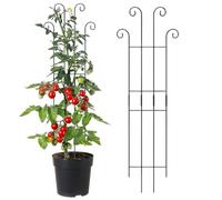 Tutor per piante reticolato metallico verticale di crescita per piante | Picchetti per fiori in vaso da giardino all'aperto Monstera Pomodoro Fiori Edera Clematide