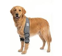 Tutore contro piaghe da decubito/tutore per calli/benda per il gomito/tutore per cani con igroma - Grigio - L