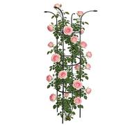 Tutore per piante da giardino, supporto decorativo verticale per rampicanti | Traliccio con fermo a fiore e fungo per rampicanti, rose, clematidi, pitahaya, cetrioli, ortensie, gelsomini e popoli