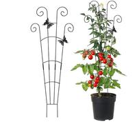 Tutore per piante da interno, accessorio scenico robusto per tutte le condizioni atmosferiche, traliccio rampicante per piante da interno, per paesaggistica, verdure, tralicci, pomodori, peperoni