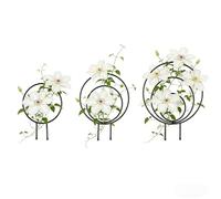 Tutore Per Piante Da Interno - SuppMetallico Per Decorazione Artistica,Tutore Metallico Per Piante In Vaso | per Giardinaggio Domestico Interno Esterno Matrimonio e Fiori