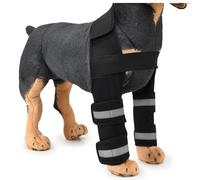 Tutore per Zampe Anteriori per Cani Tutore Regolabile per Articolazioni Delle Zampe Anteriori del Cane Materiale SBR in Evidenza - Tutore di Supporto per la Protezione delle Ginocchia