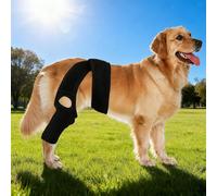 Tutore regolabile per anca e gamba del cane, tutore di supporto regolabile