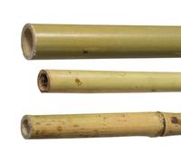 TUTORI PER PIANTE 25 CANNE IN BAMBOO