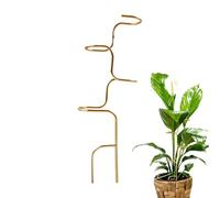 Tutori per Piante Tutori per da Esterno | Supporto Orchidea per Amarilli Orchidee Rose Appartamenti Giardini Giardinieri
