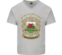 Tutti Gli Uomini Nascono Uguali Welshmen Galles T-Shirt In Cotone A V