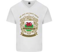 Tutti Gli Uomini Nascono Uguali Welshmen Galles T-Shirt In Cotone A V